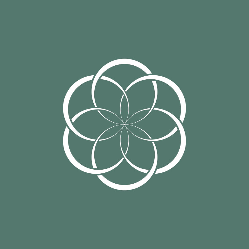 Social media icon design - SkinBySavi #1