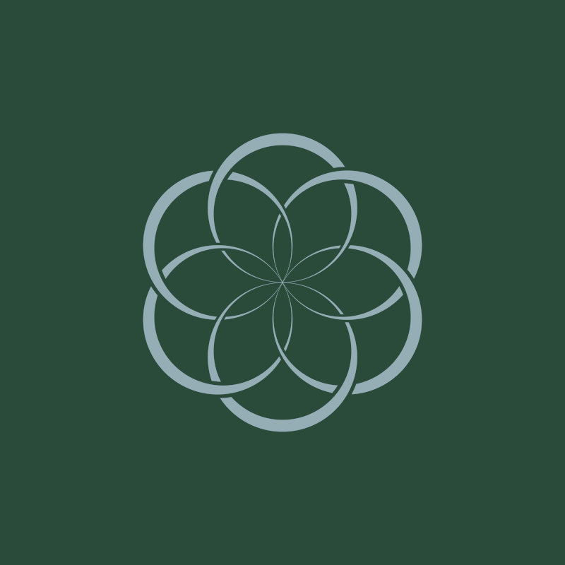 Social media icon design - SkinBySavi #4